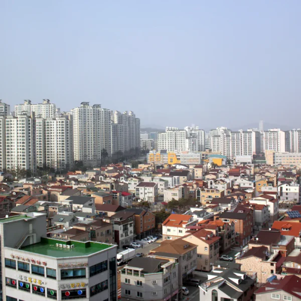 힐링 효정포레스트 테라피 안내 이미지