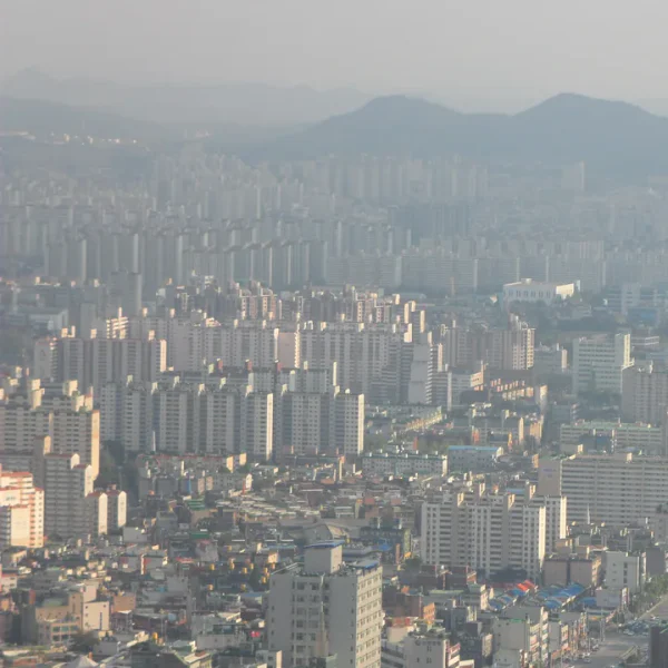 레드존라운지 테라피 안내 이미지