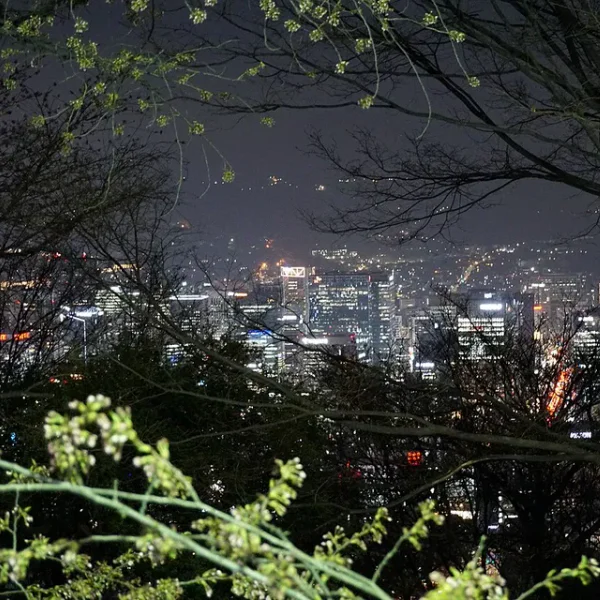 아로마 메르시포레스트 홈타이 안내 이미지
