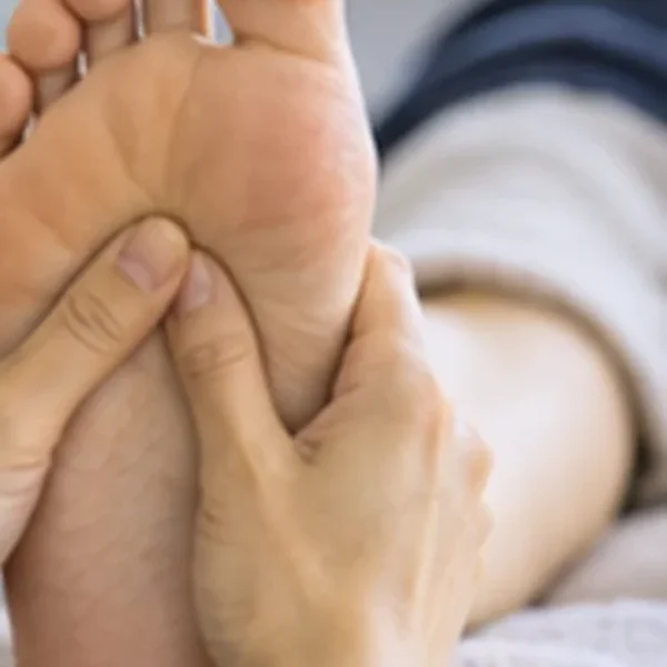 프리미엄 새봄하우스 테라피 안내 이미지